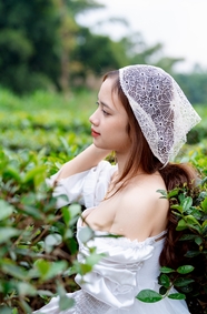 新澳门天天开好彩-实用科普