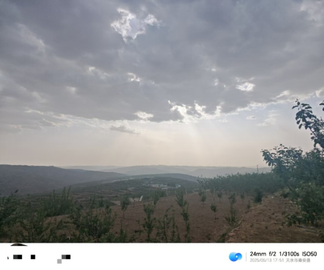 【调研】守得云开见月明:陕甘产区苹果坐果调研