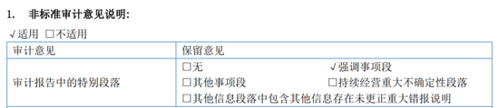 又一A股审计“自爆”！23年IPO上市，次年就财务造假？