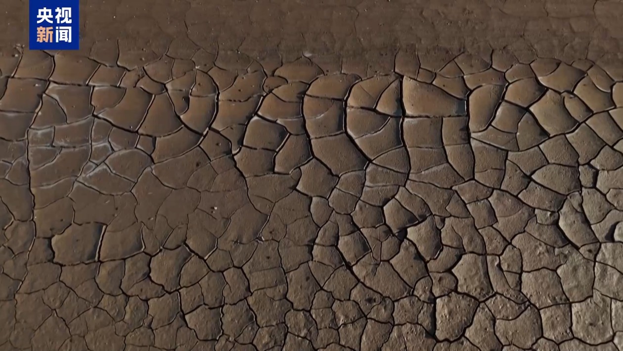 世界气象组织：五年内大概率再迎“最暖年份”