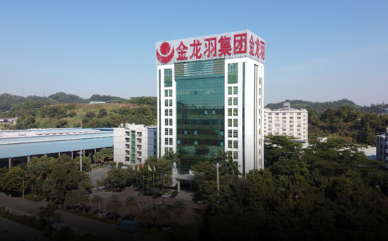 上任8天的新董秘就炮制了一篇官方“小作文”，股价6天暴涨51%！金龙羽：历次“小作文”减持往事！