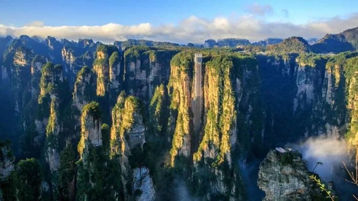 祥源控股拟23亿港元并购海昌海洋公园，专业败给了资本