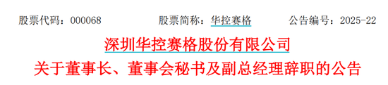 华控赛格董事长、董秘、副总经理三高管同日辞职
