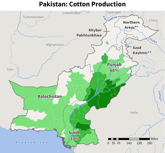 棉花：矛盾在解决中，但效果有限