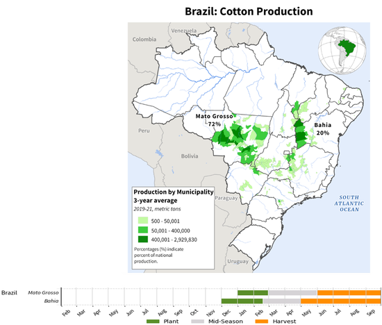棉花：矛盾在解决中，但效果有限