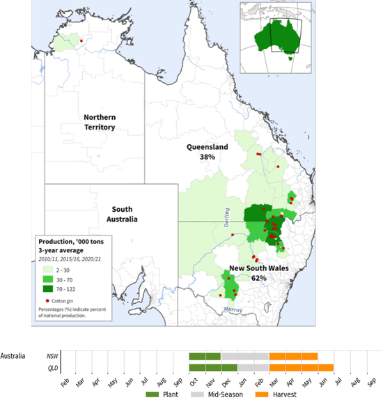 棉花：矛盾在解决中，但效果有限