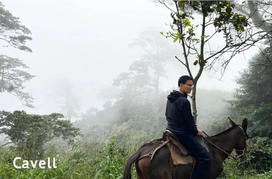 张向东:展望2025,有机食物与未来的探索和实践