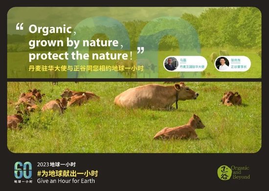 张向东:展望2025,有机食物与未来的探索和实践