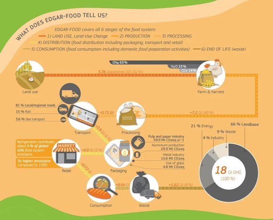 张向东:展望2025,有机食物与未来的探索和实践