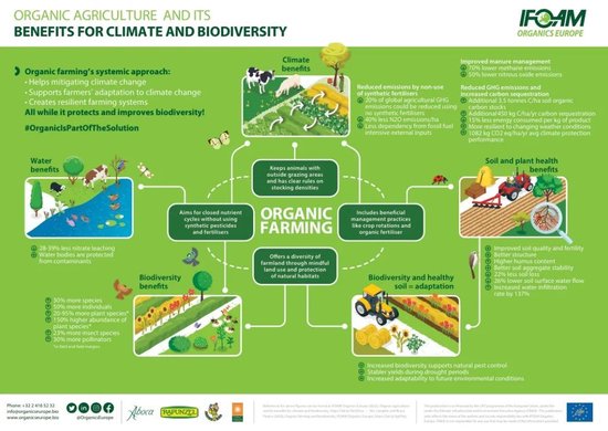 张向东:展望2025,有机食物与未来的探索和实践