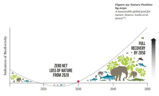 张向东:展望2025,有机食物与未来的探索和实践