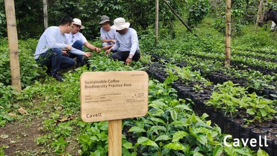 张向东:展望2025,有机食物与未来的探索和实践