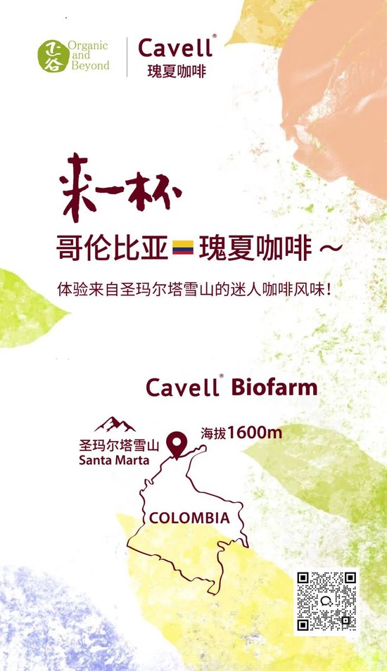 张向东:展望2025,有机食物与未来的探索和实践