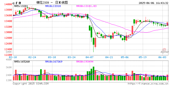 期市晨昏线6.6（晚）：棉花的反弹能否延续？