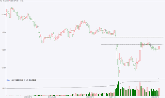 期市晨昏线6.6（晚）：棉花的反弹能否延续？