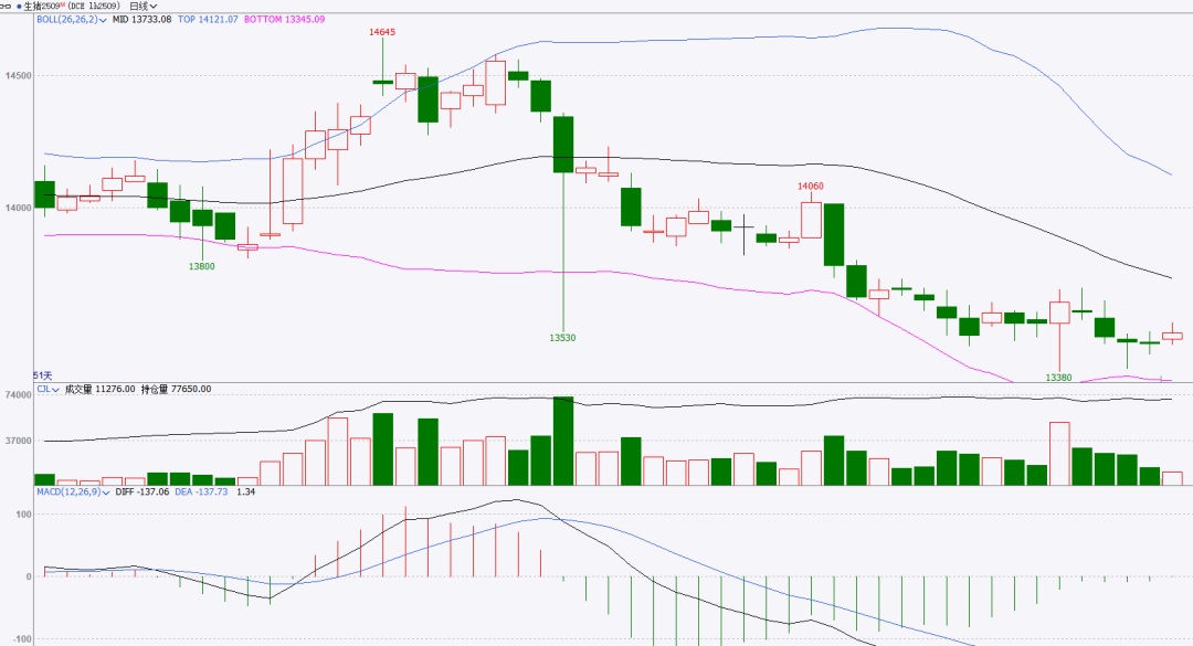 生猪：出栏降重，期现偏弱