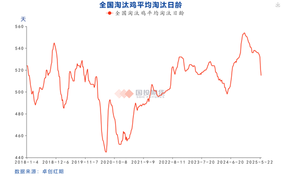 【鸡蛋专题】本轮鸡蛋价格周期的底部如何评估？