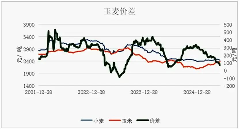 6月步入青黄不接，玉米行情是涨是跌？