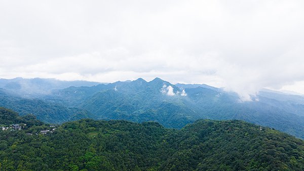 峨眉山宣布“免票回馈”涨停后，千味央厨连夜“抄作业”
