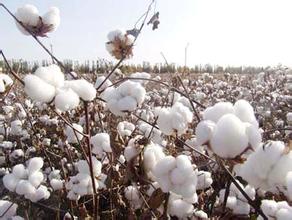 汽车隔音棉安装有哪些技巧？