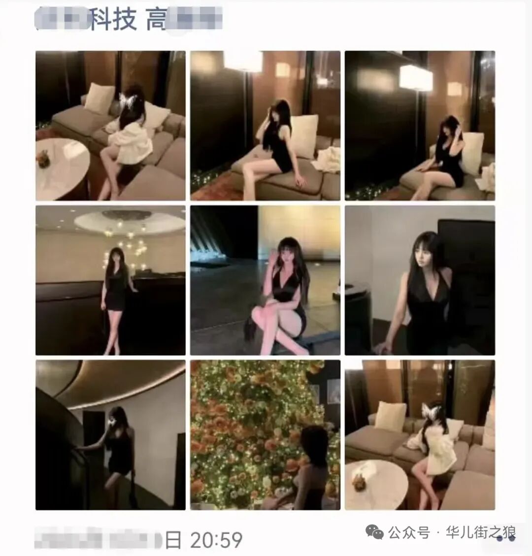 拉清单求职的上市公司董秘助理是个大长腿