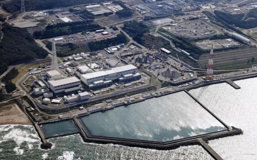 日元迎来关键12月!政府与央行口径罕见同步,加息预期全面引爆