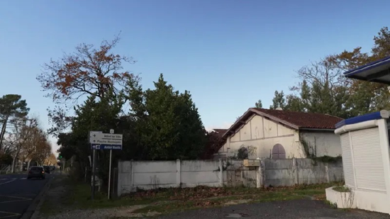 房东们的噩梦？在欧洲强占房屋真的有理么？|欧洲观察