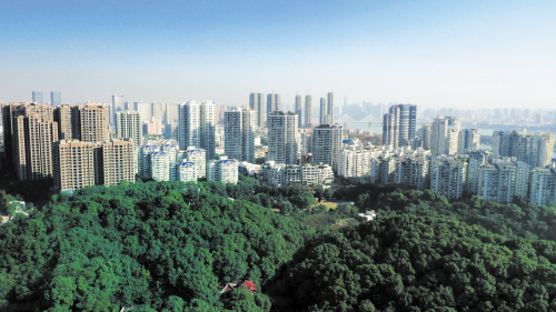 新手选车应优先考虑哪些配置？